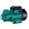 Máy bơm nước chân không shimge 80k ( 750W)